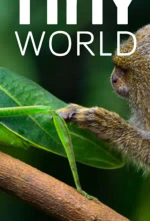 Крошечный мир смотреть онлайн в HD 1080