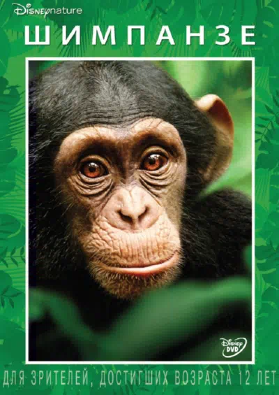 Шимпанзе смотреть онлайн в HD 1080