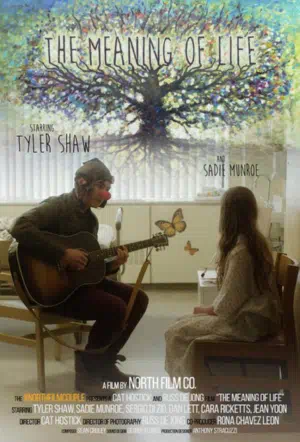 Смысл жизни смотреть онлайн в HD 1080